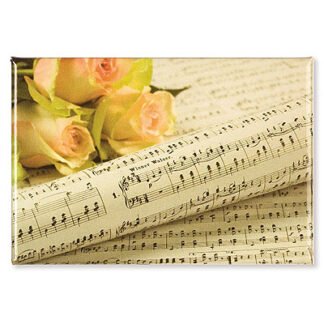 Magneet Tempo di Valse